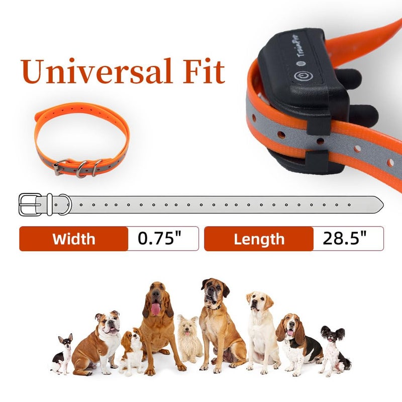 JimysCo Replacement Â¾â€ Collar Strap Bands with Double Buckle Loop Training for All Brands of Pet Shock Bark e Collars. - Image 4